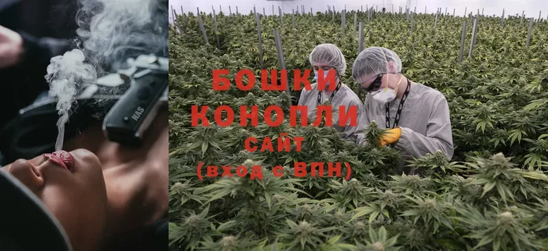 Каннабис White Widow  Солигалич 